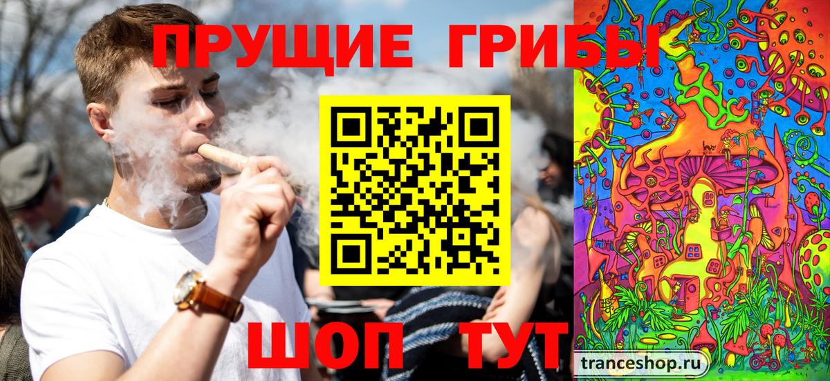 Псилоцибиновые грибы мицелий  Вход с VPN  Обь  Псилоцибиновые грибы Psilocybine cubensis 